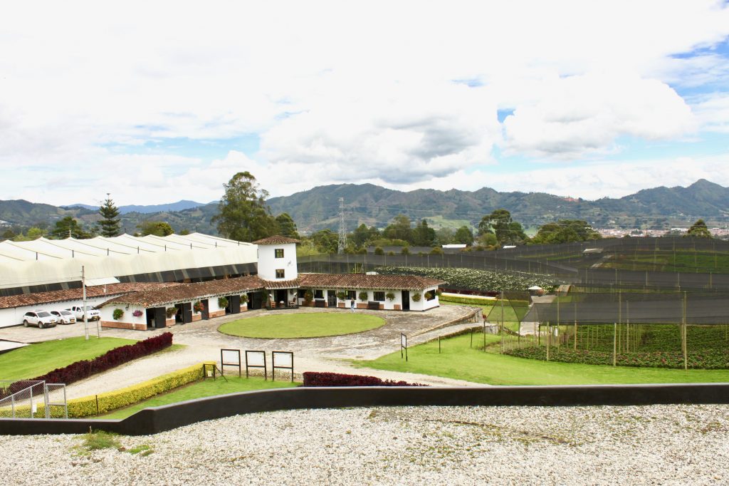 'Flores del Este' farm, La Ceja (Antioquia) | Colombia