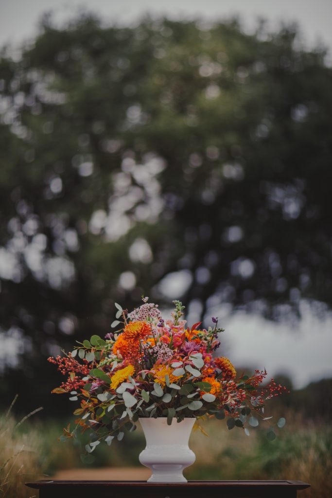 Autumnal Inspiration No. 4: Amanecer Salvaje | © Encanto Rojo