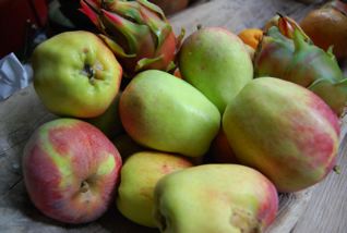 Diana Kennedy  and Mexican Apples