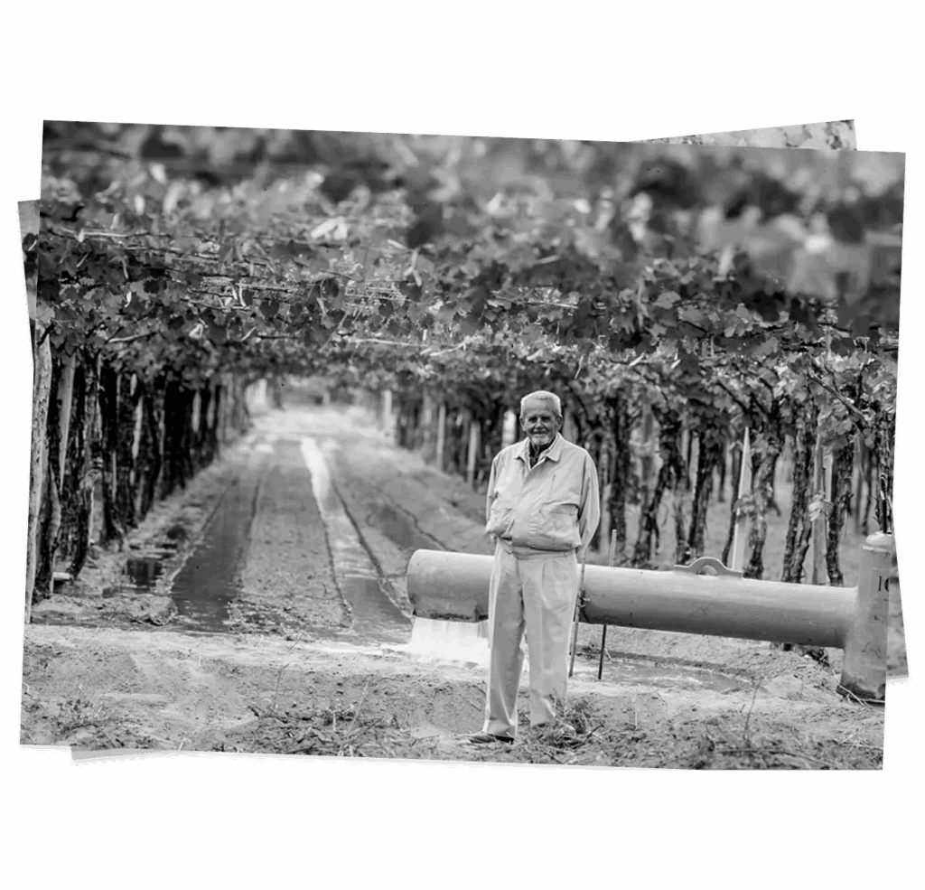 JULIA ZUCCARDI Grandfather Alberto (TIto) Zucardi.